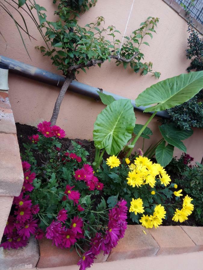 אורוסיי Appartamento In Zona Residenziale מראה חיצוני תמונה