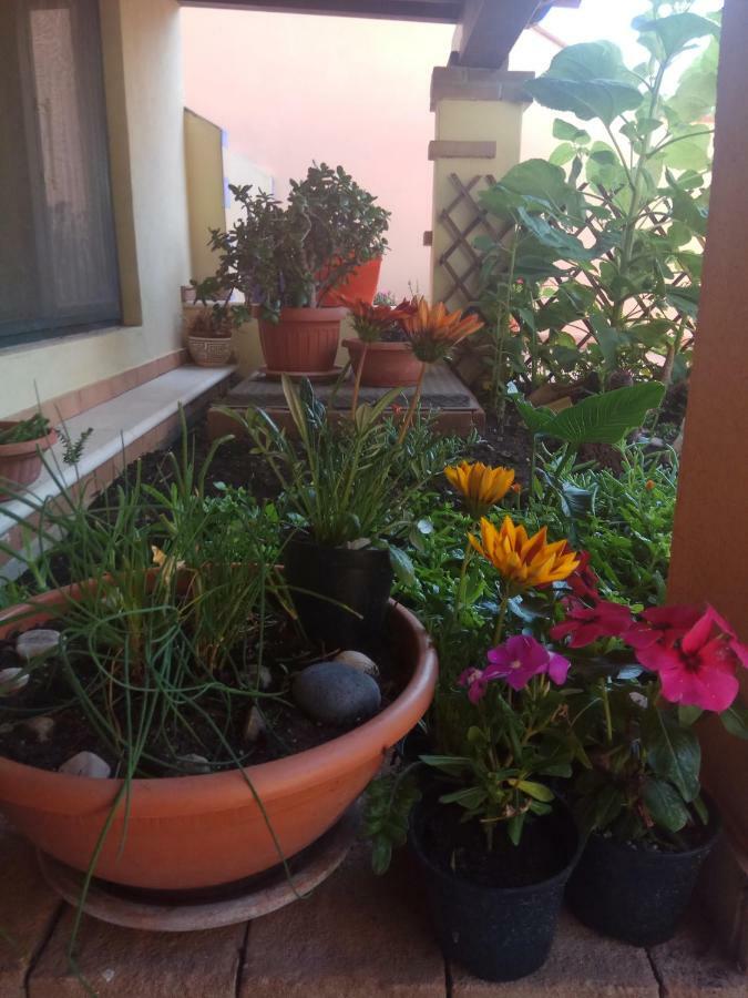 אורוסיי Appartamento In Zona Residenziale מראה חיצוני תמונה